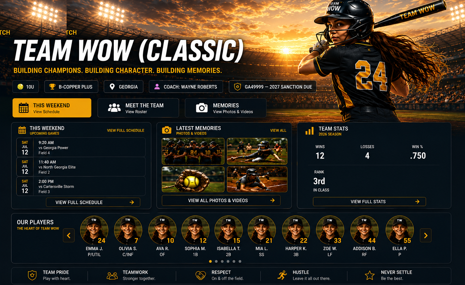 Blaze fastpitch Team Showcase banner